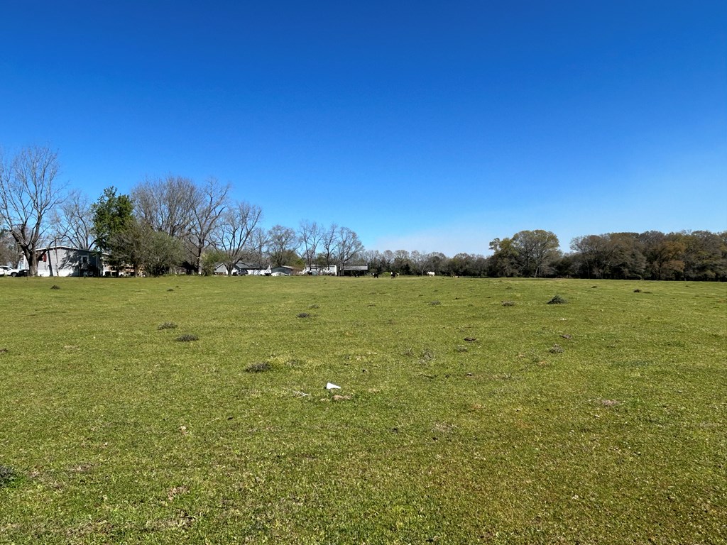 16.6+-ac Dale Cty Rd 530, Midland City, Alabama image 14