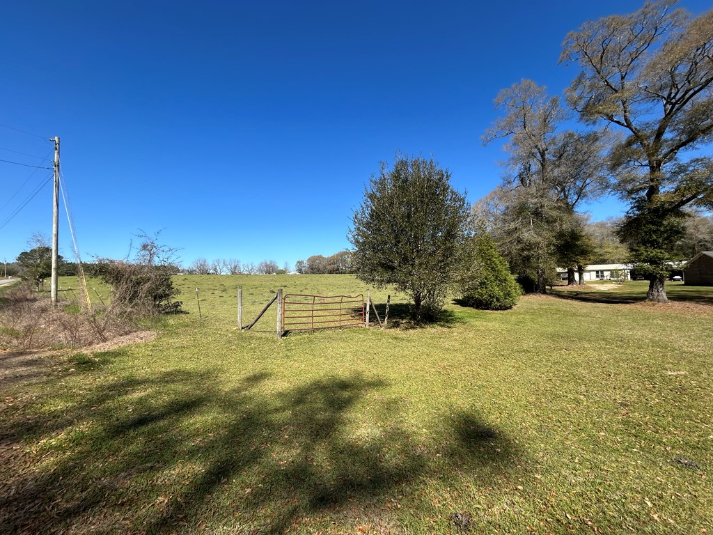 16.6+-ac Dale Cty Rd 530, Midland City, Alabama image 24