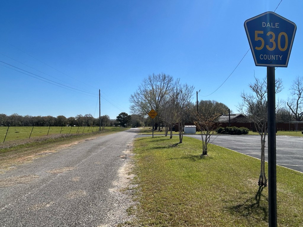 16.6+-ac Dale Cty Rd 530, Midland City, Alabama image 13
