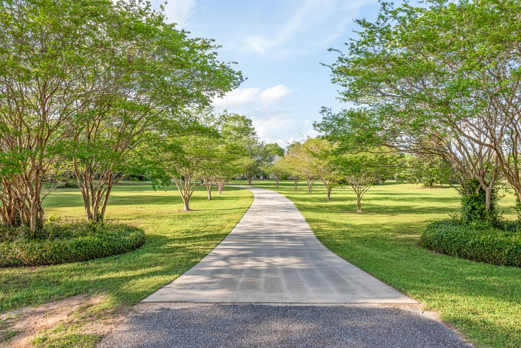 358 Oak Hill Road, Newton, Alabama image 16