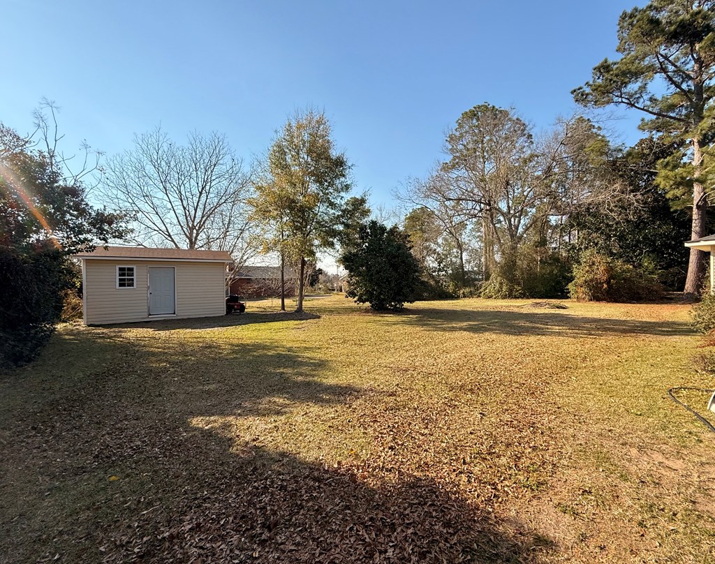 205 Grace St, Colquitt, Georgia image 34