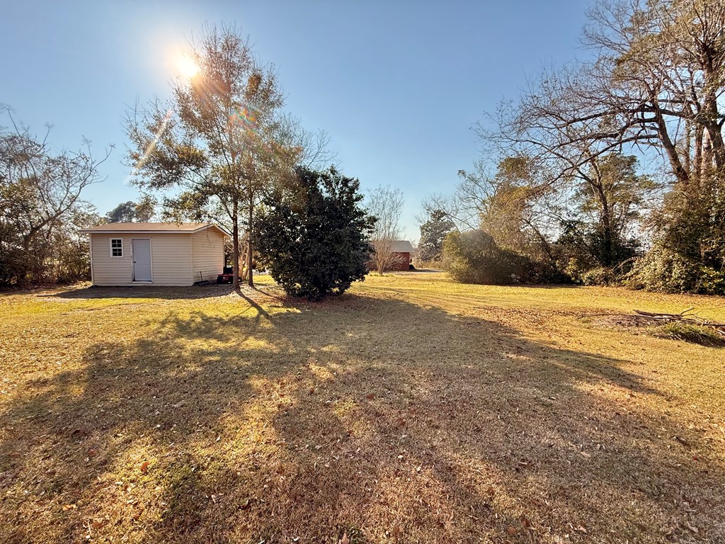 205 Grace St, Colquitt, Georgia image 35