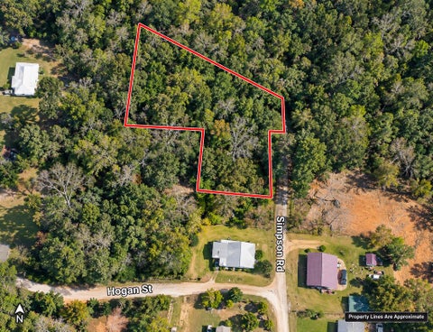 Vacant Land For Sale - Butler St<br/> Cottonwood, AL 36320