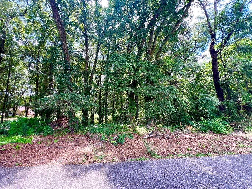 Dothan, Alabama 36303, United States, ,Land,Active,85554