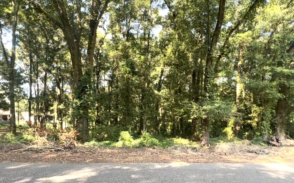 .57 Acres Riverside Drive, Dothan, Alabama image 1