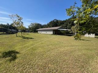 Midland City, Alabama 36350, United States, ,1 BathroomBathrooms,Residential,Active,229313