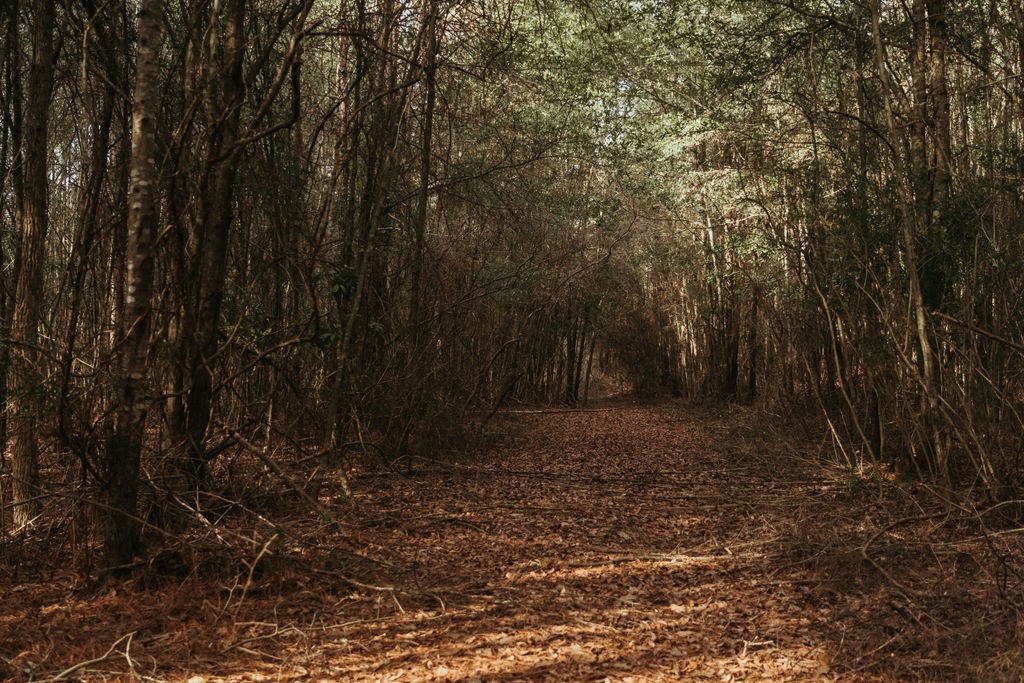 County Road 700, Enterprise, Alabama image 16