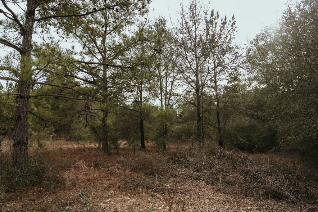 County Road 700, Enterprise, Alabama image 15