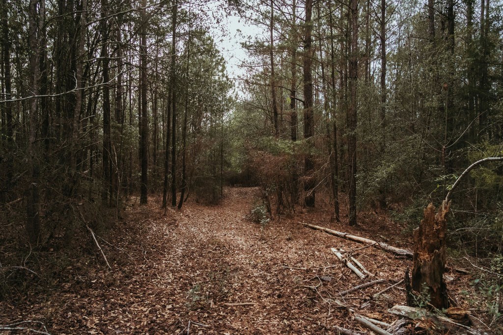 County Road 700, Enterprise, Alabama image 18