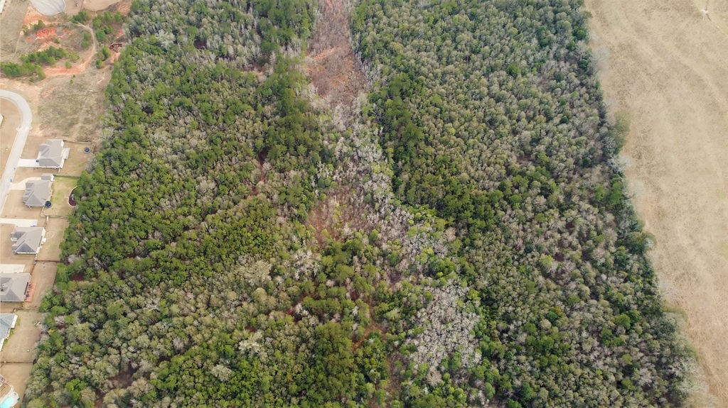 County Road 700, Enterprise, Alabama image 7