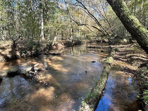 Vacant Land For Sale - 229 +-AC Cty Rd 62/ Cty Rd 160 (morgan Rd)<br/> Randolph County, Coleman, GA 39836