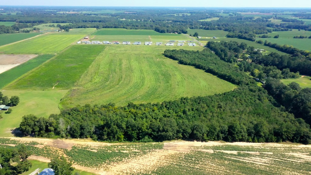 County Rd 19, Headland, Alabama image 6