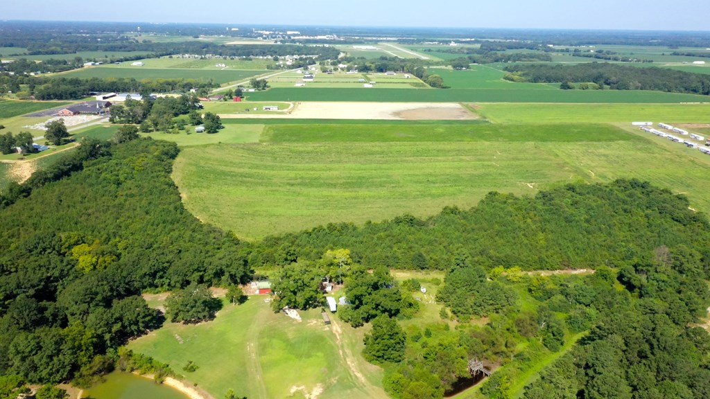 County Rd 19, Headland, Alabama image 7