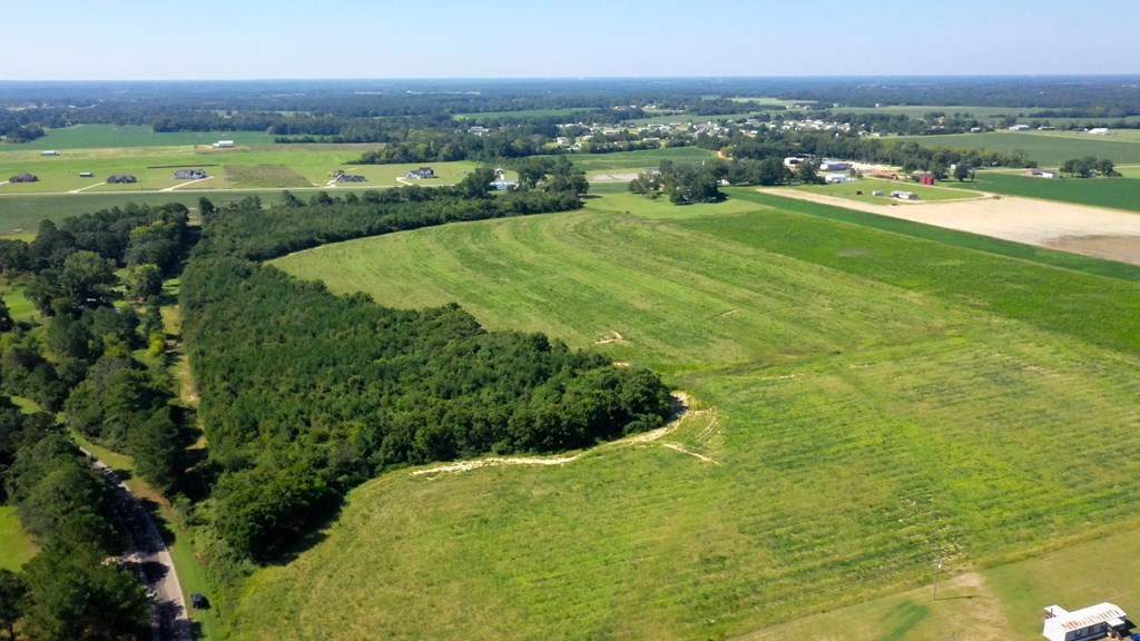 County Rd 19, Headland, Alabama image 2