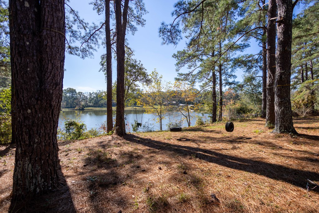 24577 Highway 331 N, Opp, Alabama image 20