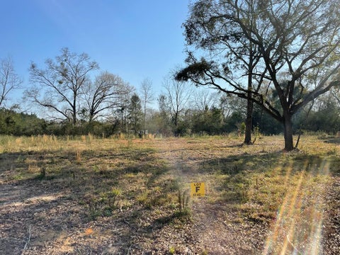 Vacant Land For Sale - 0 LOT F Prevatt Rd<br/> Houston County, Cowarts, AL 36321