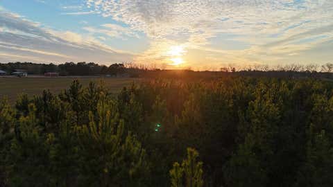 Vacant Land For Sale - County Road 22 (lot 5)<br/> Henry County, Headland, AL 36345
