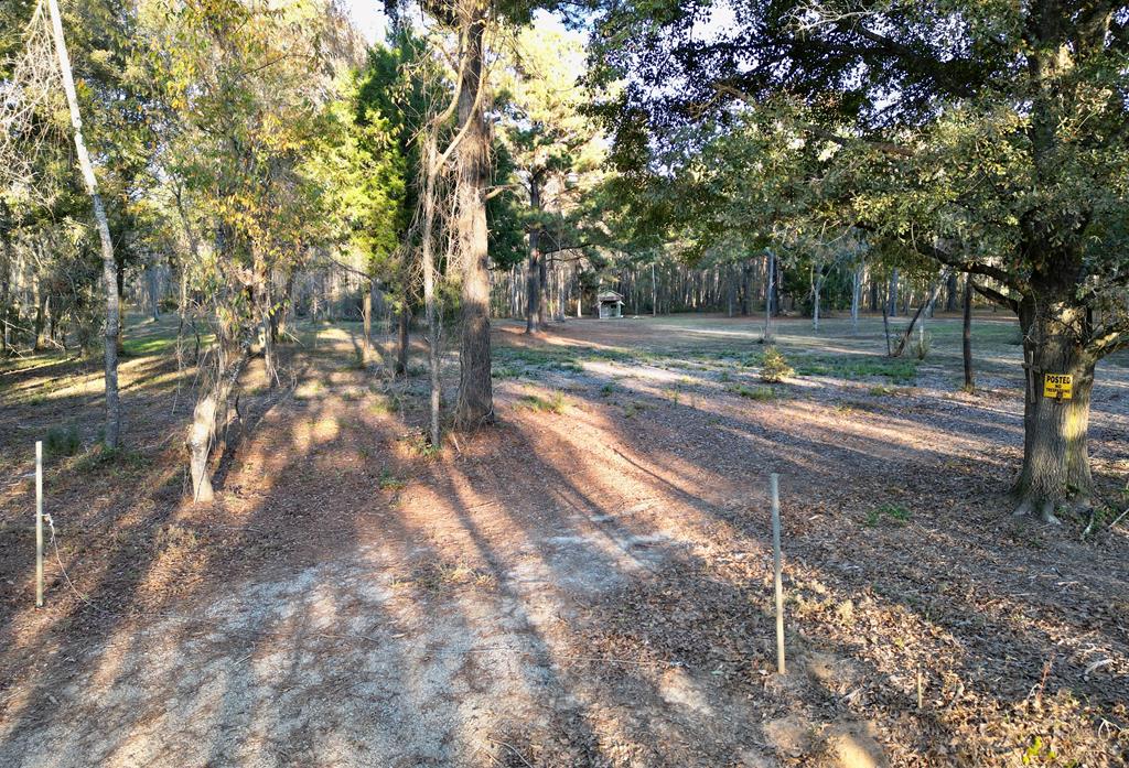 38 ACRES Old Fadette Rd, Slocomb, Alabama image 9