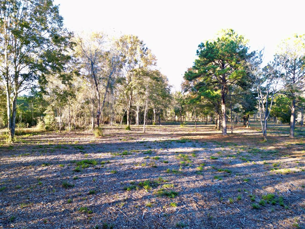 38 ACRES Old Fadette Rd, Slocomb, Alabama image 20