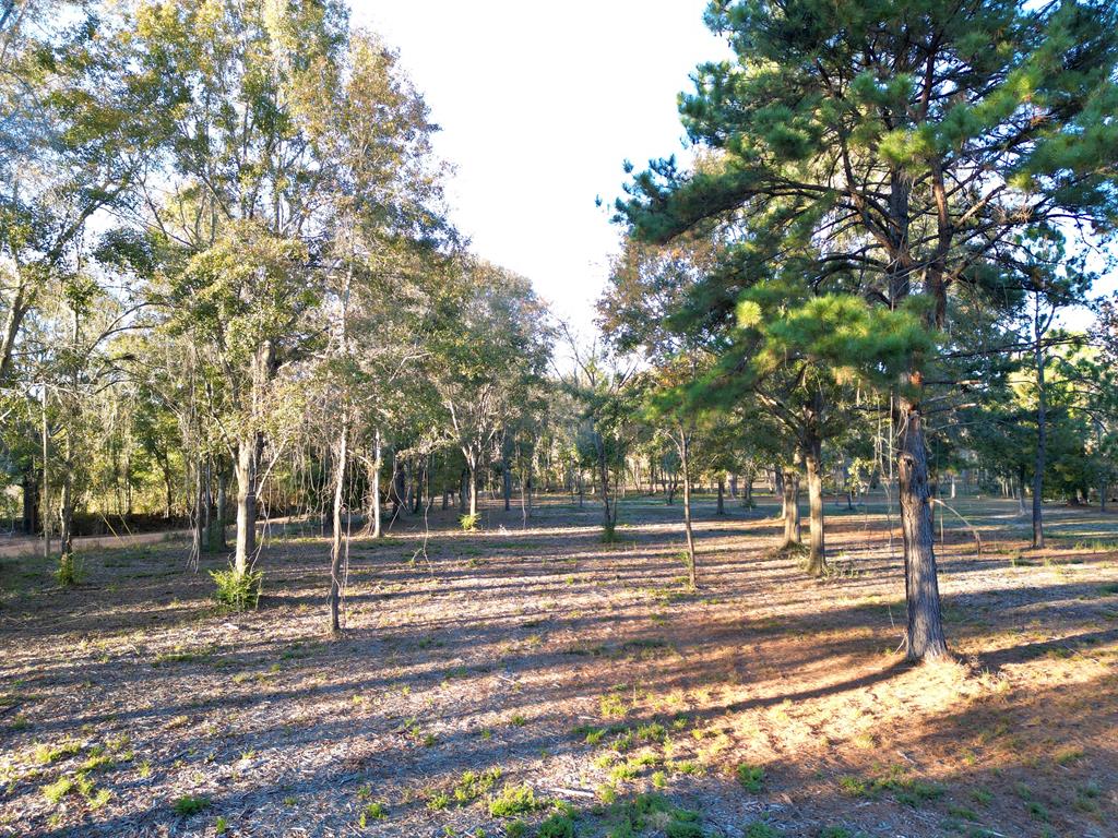 38 ACRES Old Fadette Rd, Slocomb, Alabama image 25