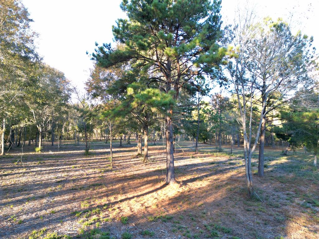 38 ACRES Old Fadette Rd, Slocomb, Alabama image 24