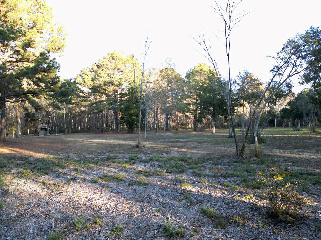 38 ACRES Old Fadette Rd, Slocomb, Alabama image 12