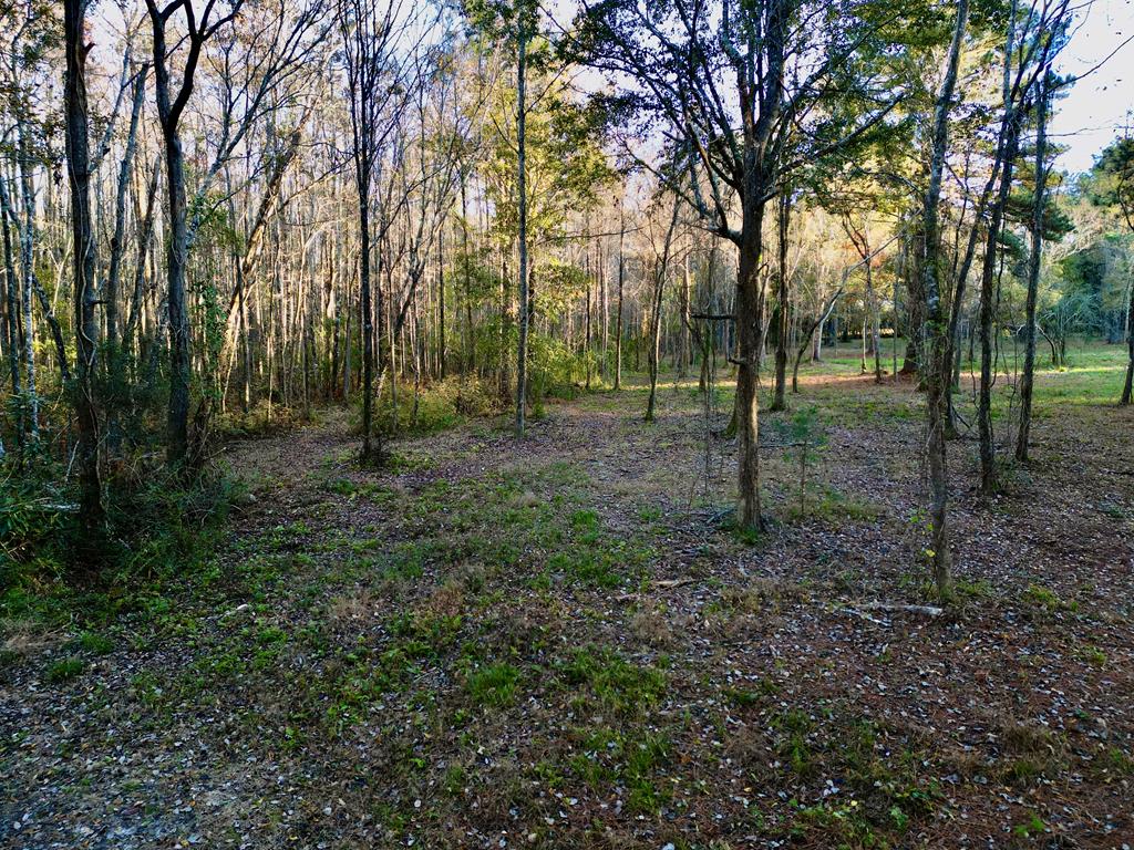 38 ACRES Old Fadette Rd, Slocomb, Alabama image 33