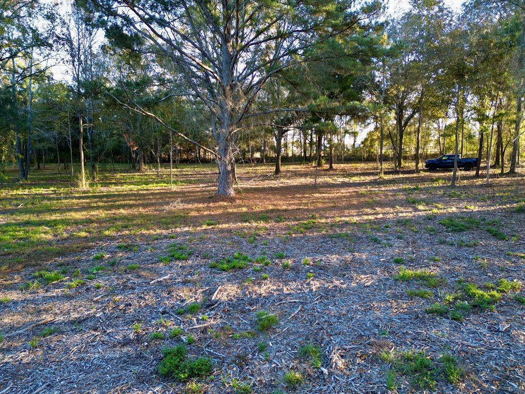 38 ACRES Old Fadette Rd, Slocomb, Alabama image 31