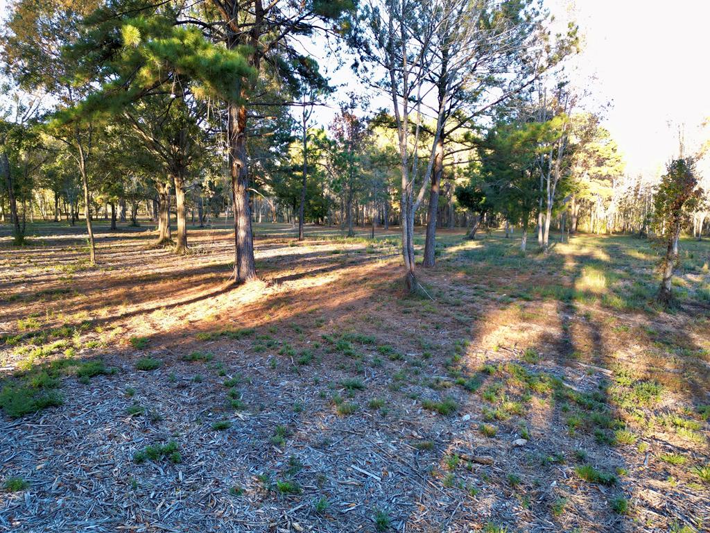 38 ACRES Old Fadette Rd, Slocomb, Alabama image 27