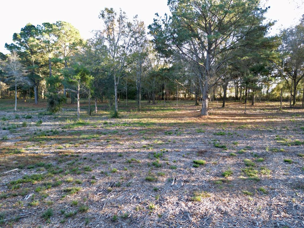 38 ACRES Old Fadette Rd, Slocomb, Alabama image 22