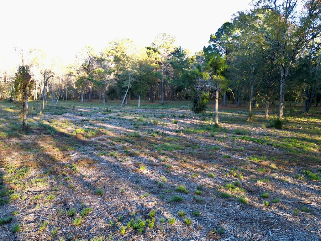 38 ACRES Old Fadette Rd, Slocomb, Alabama image 26