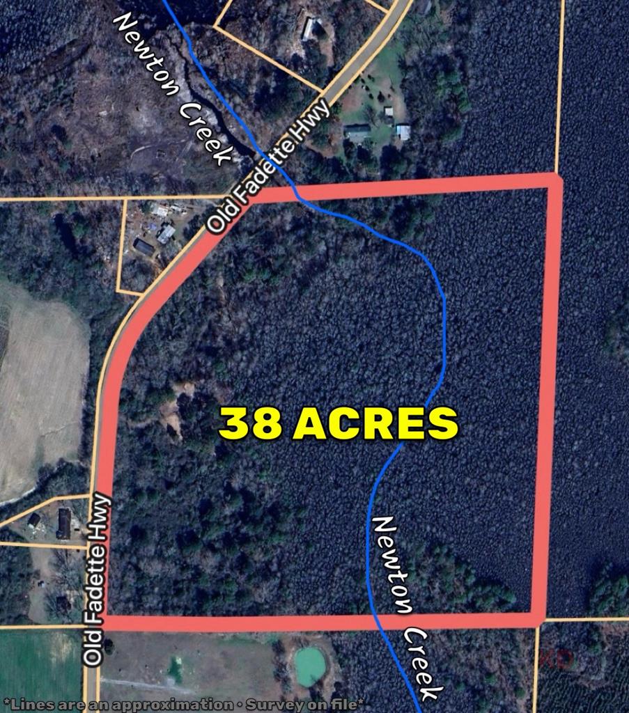 38 ACRES Old Fadette Rd, Slocomb, Alabama image 1