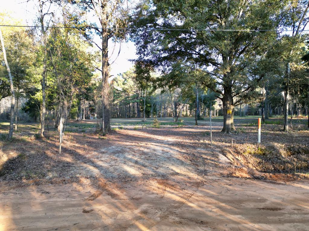 38 ACRES Old Fadette Rd, Slocomb, Alabama image 8