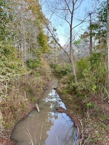 38 ACRES Old Fadette Rd, Slocomb, Alabama image 17