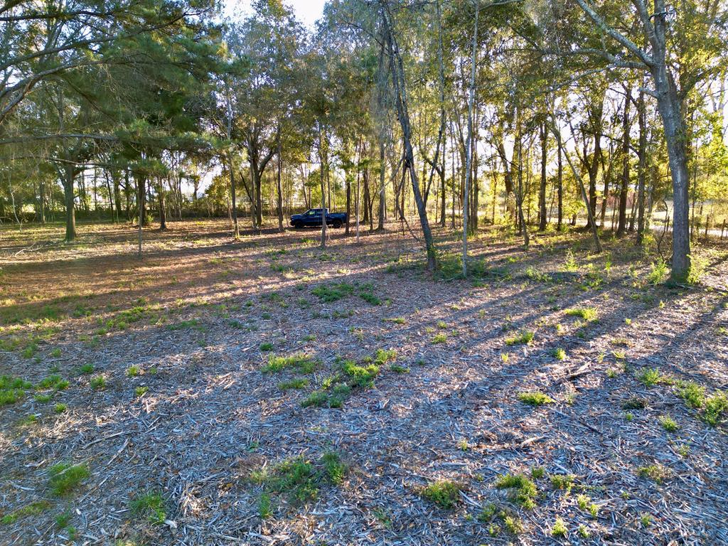 38 ACRES Old Fadette Rd, Slocomb, Alabama image 30