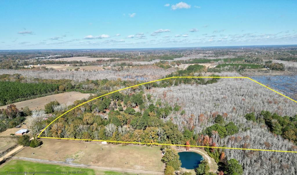 38 ACRES Old Fadette Rd, Slocomb, Alabama image 2