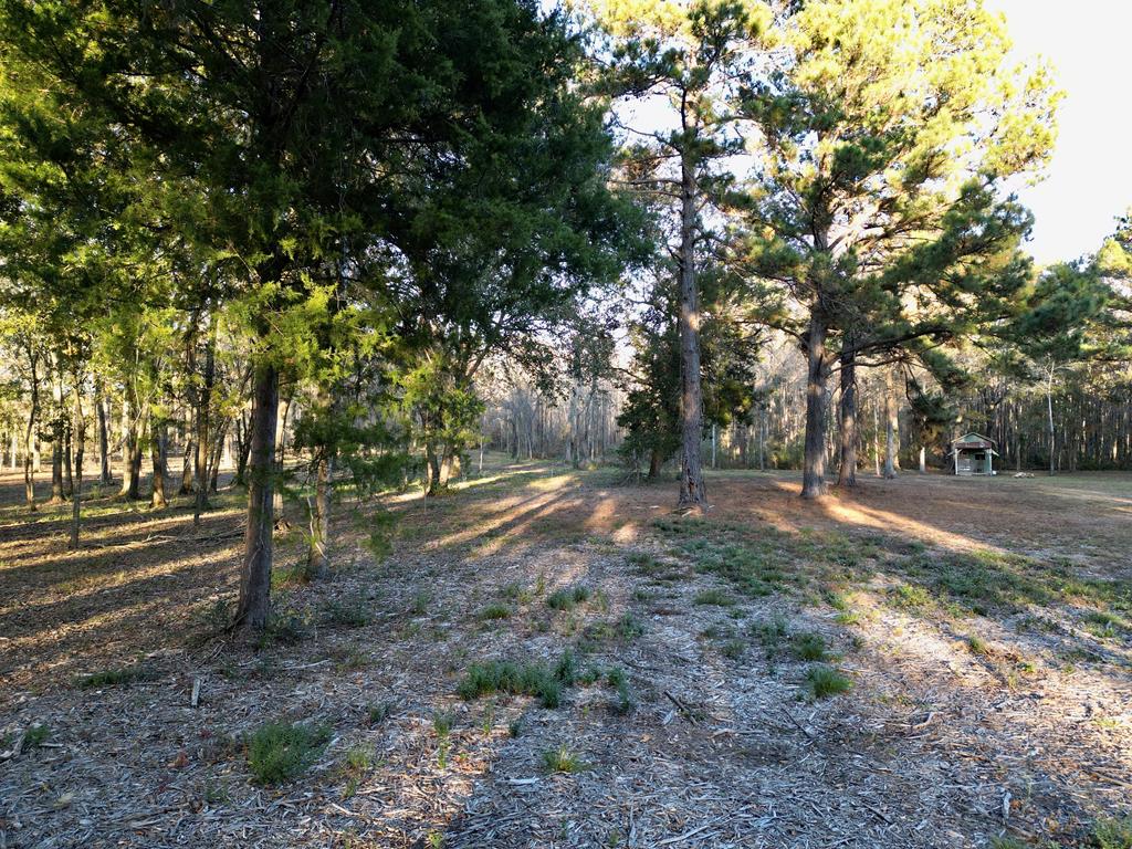 38 ACRES Old Fadette Rd, Slocomb, Alabama image 13