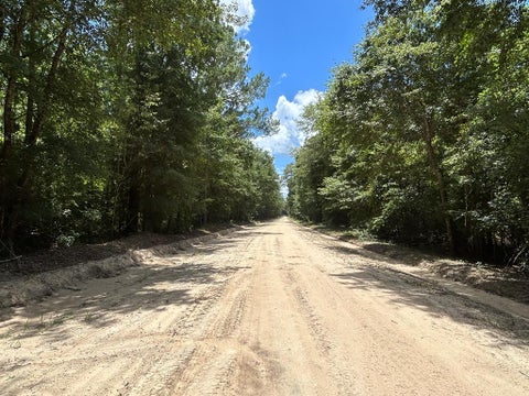 Vacant Land For Sale - 16+-AC Rammer Loop Rd<br/> Houston County, Cottonwood, AL 36301
