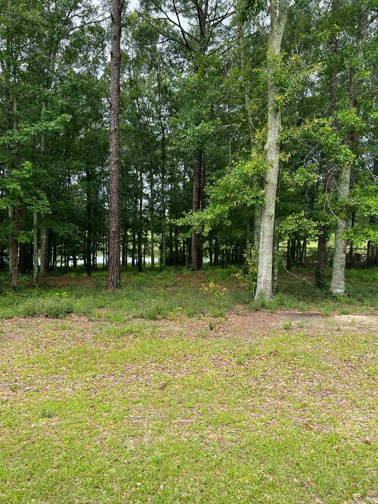 0.77 Ac Private Road 1601, Chancellor, Alabama image 1