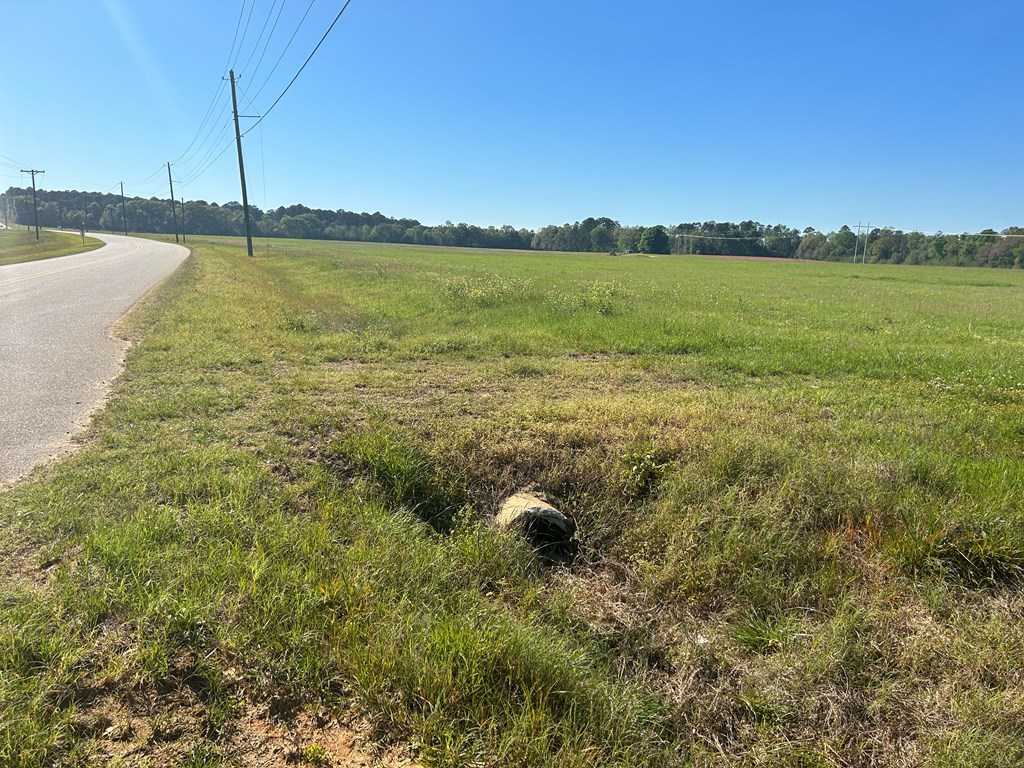 54.28+-ac Webb Rd, Dothan, Alabama image 39