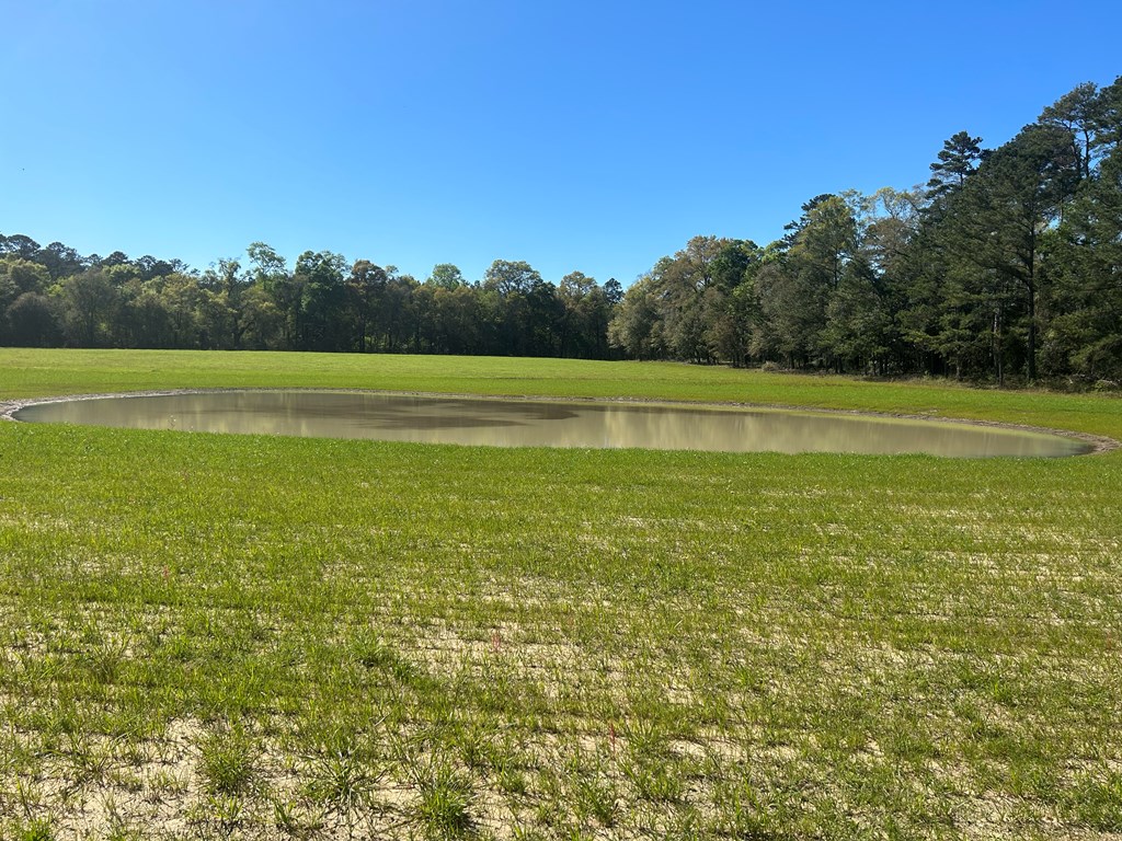 54.28+-ac Webb Rd, Dothan, Alabama image 26