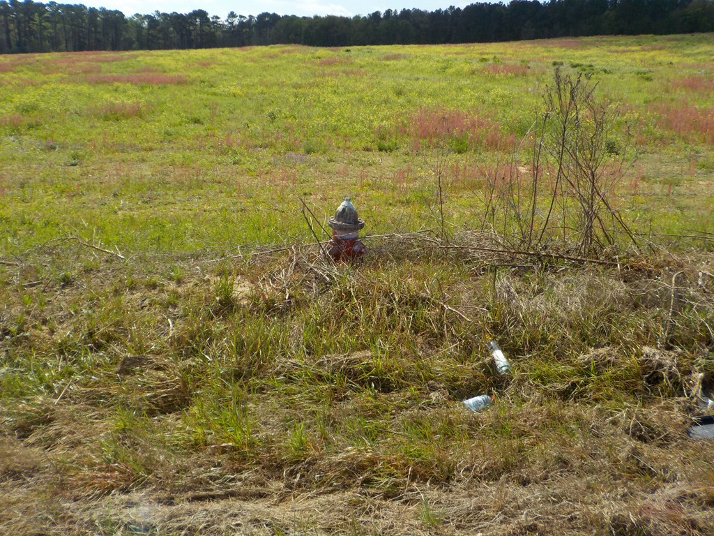 54.28+-ac Webb Rd, Dothan, Alabama image 43