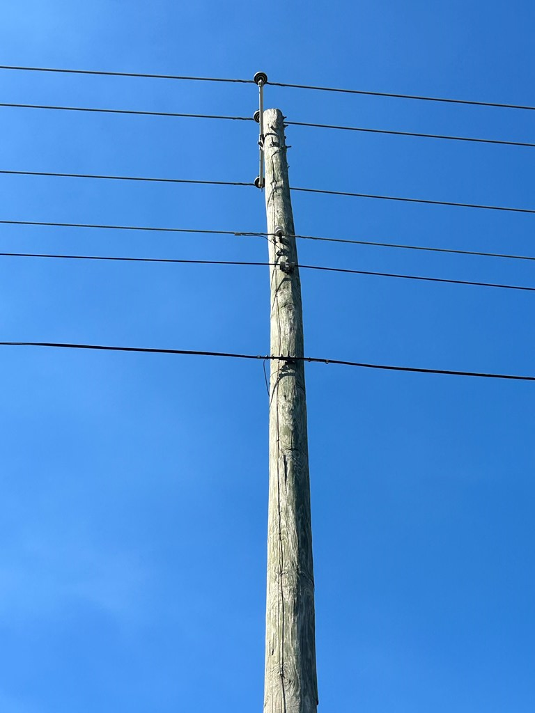 54.28+-ac Webb Rd, Dothan, Alabama image 47