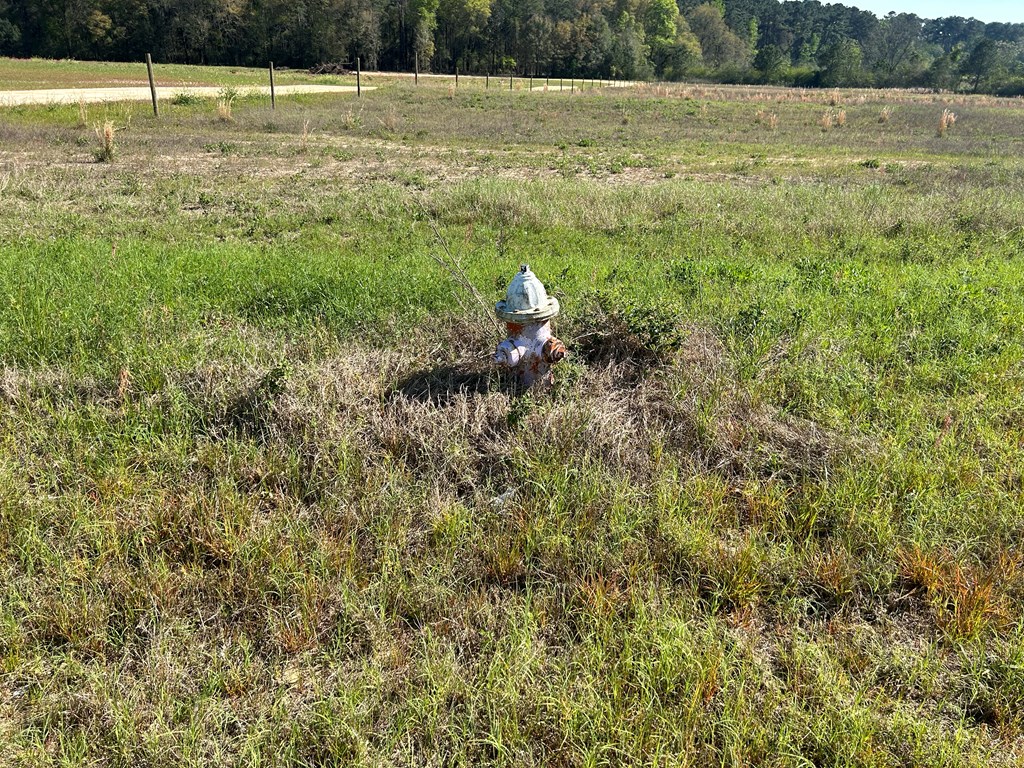 54.28+-ac Webb Rd, Dothan, Alabama image 44