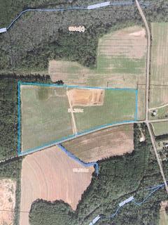 54.28+-ac Webb Rd, Dothan, Alabama image 2