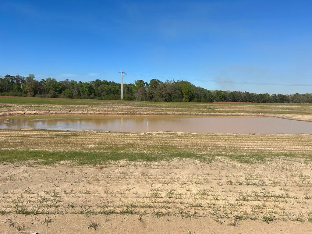 54.28+-ac Webb Rd, Dothan, Alabama image 29