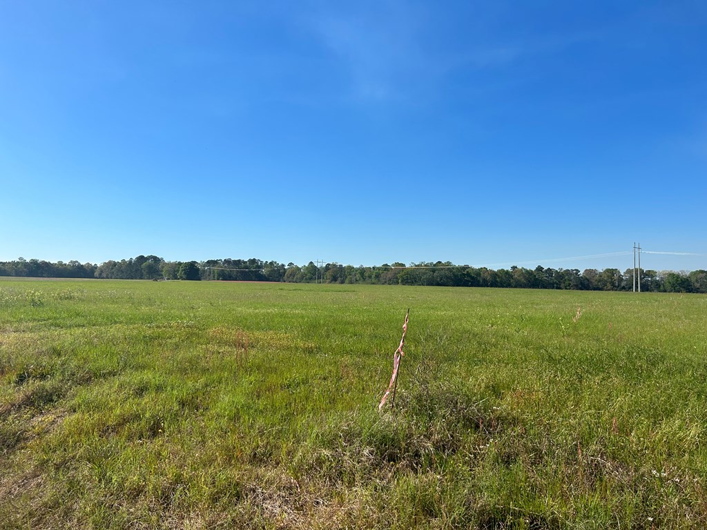 54.28+-ac Webb Rd, Dothan, Alabama image 38