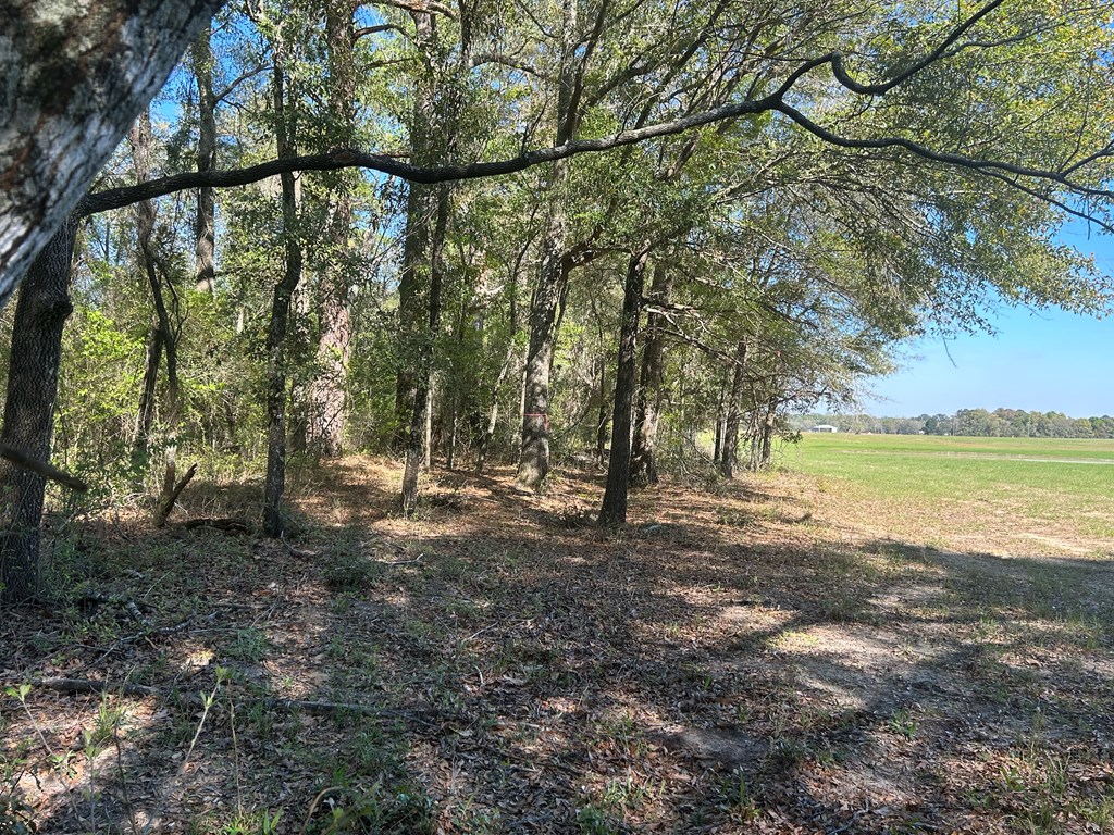 54.28+-ac Webb Rd, Dothan, Alabama image 36