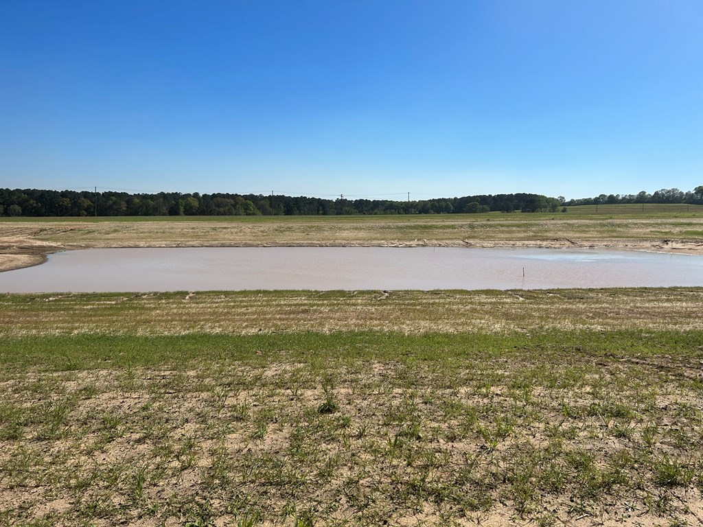 54.28+-ac Webb Rd, Dothan, Alabama image 31