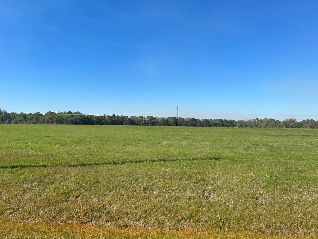 54.28+-ac Webb Rd, Dothan, Alabama image 40